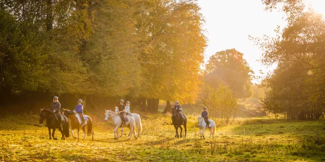 Rando Cheval 03 Anibas Photography