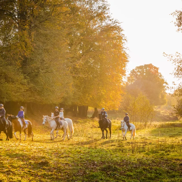 Rando Cheval 03 Anibas Photography