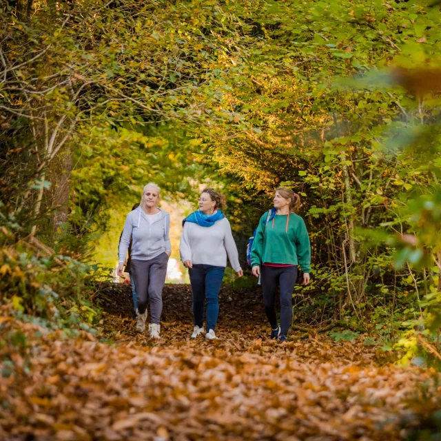 Autumn hiking 01 Anibas Photography