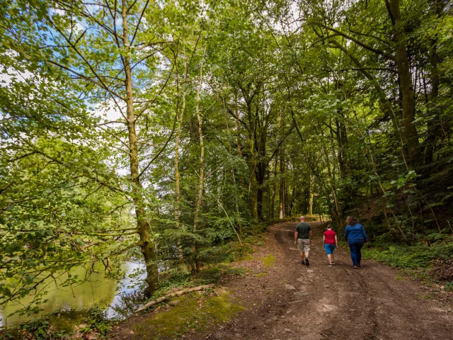 Randonnee Printemps 01 Anibas Photography