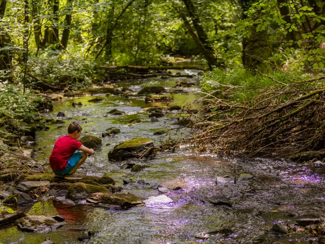 Saint Pois Glanon 01 Anibas Photography