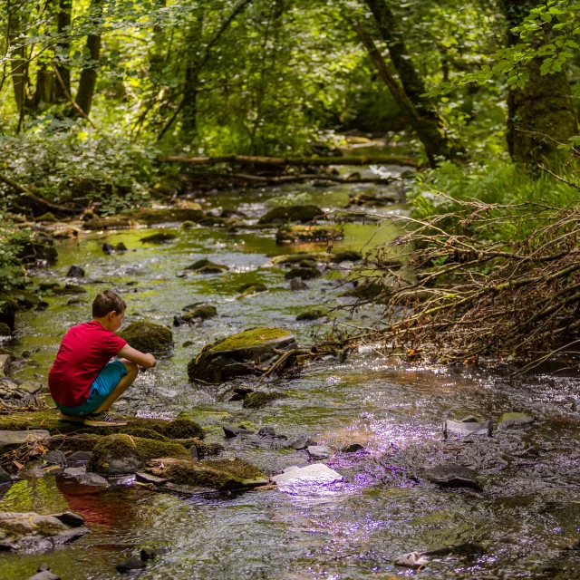 Saint Pois Glanon 01 Anibas Photography