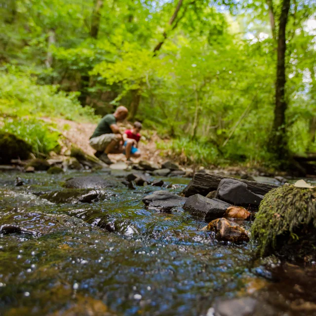 Saint Pois Glanon 02 Anibas Photography