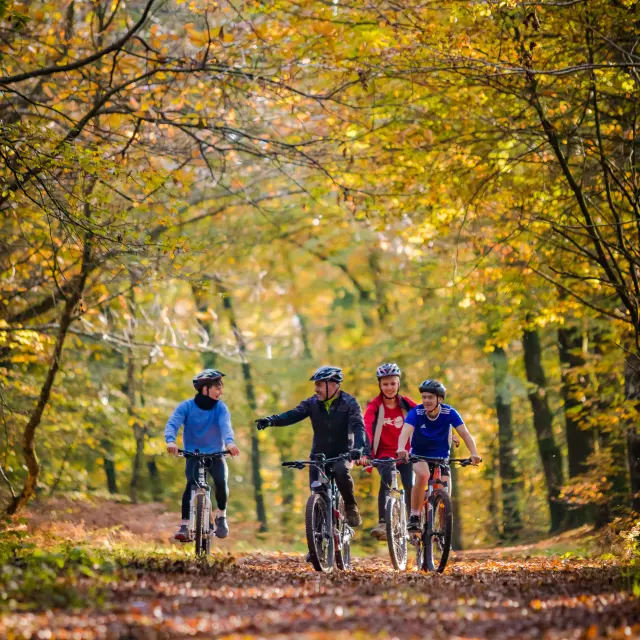 Velo Automne 02 Anibas Photography