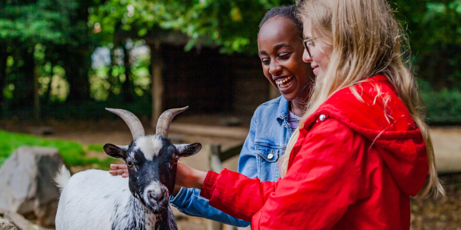 Champrepus Zoo Farm 02 Anibas Photography