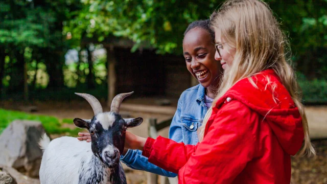 Champrepus Zoo Farm 02 Anibas Photography