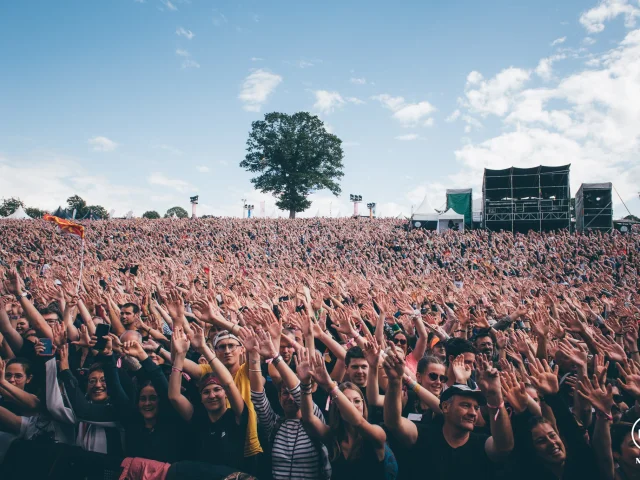 337118961 3551671355053386 6046982923132331863 N