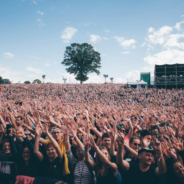 337118961 3551671355053386 6046982923132331863 N