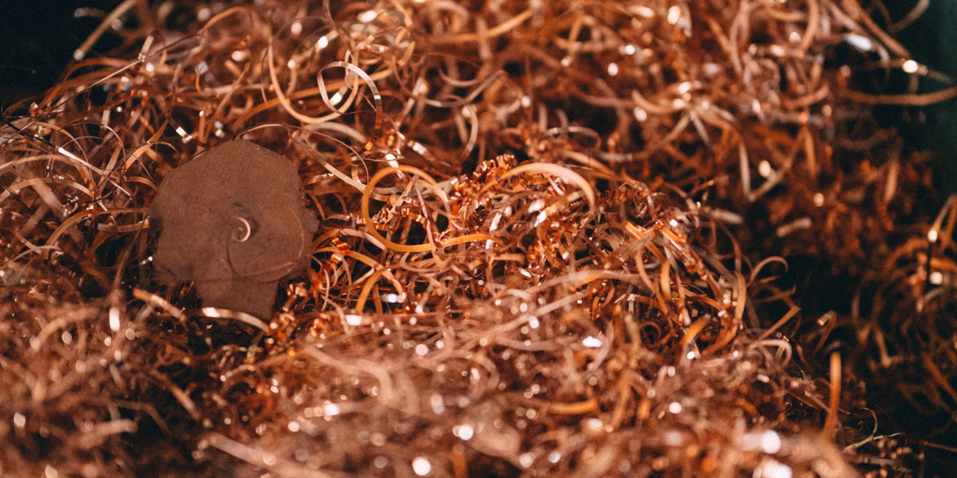 Instagram tegoed: @odieuxboby