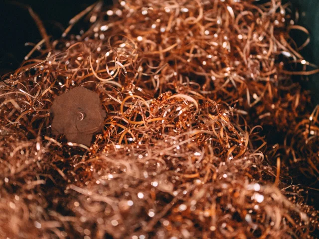 Instagram credit: @odieuxboby