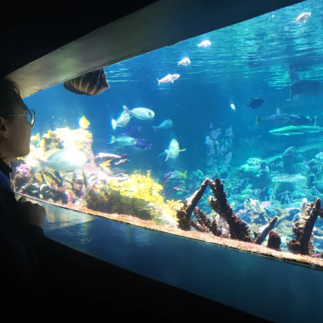 Afbeelding 20240403 112435