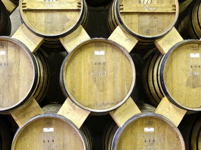 Irxic54brusi2pbetfk39zevzfoxouubhdkxtd8j