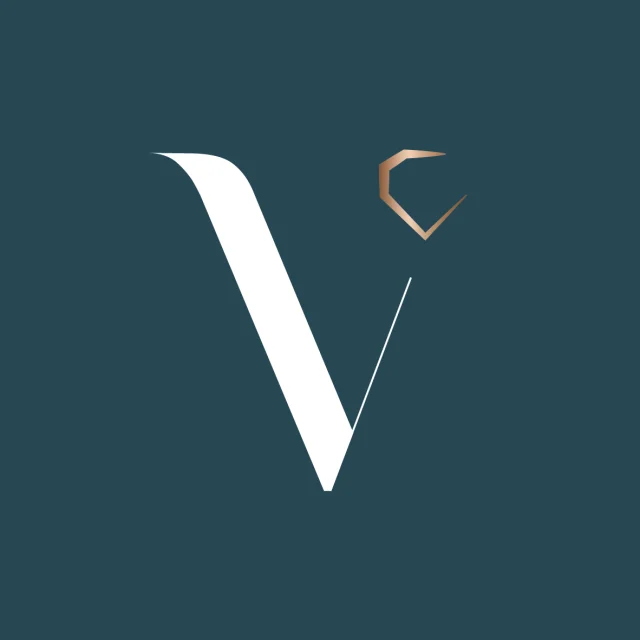 Logo Villedieu Tourisme Rvb Plan De Travail 1 Copie 10