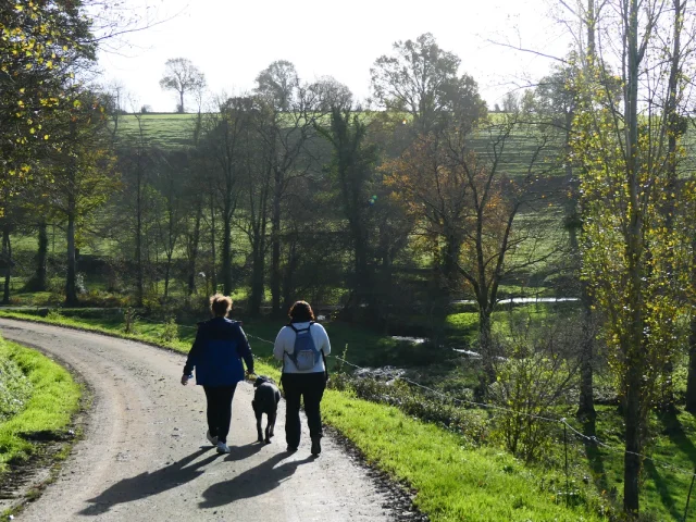 Redimensions Rando 4