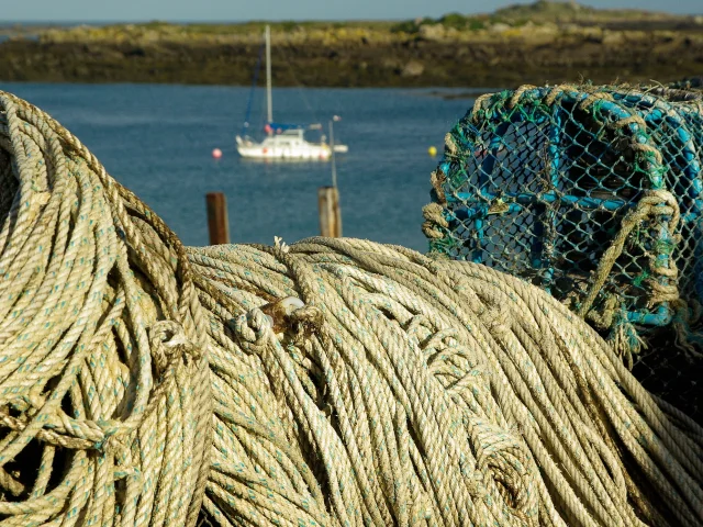 Normandy 1047586 1920